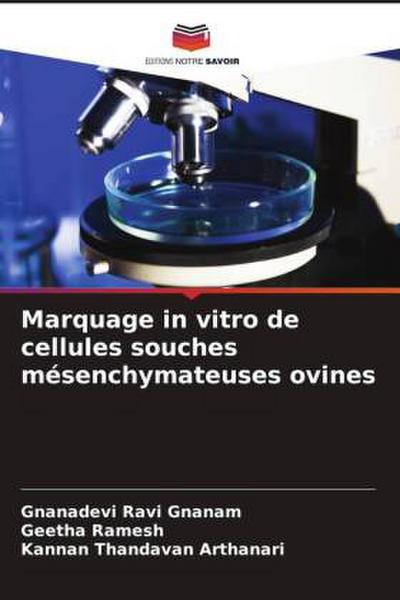 Marquage in vitro de cellules souches mésenchymateuses ovines