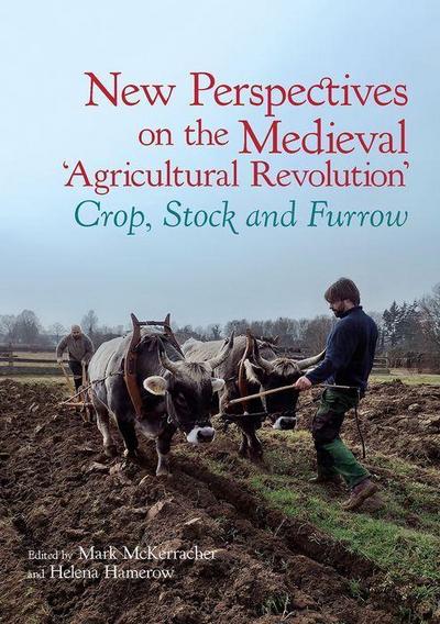 New Perspectives on the Medieval ’Agricultural Revolution’