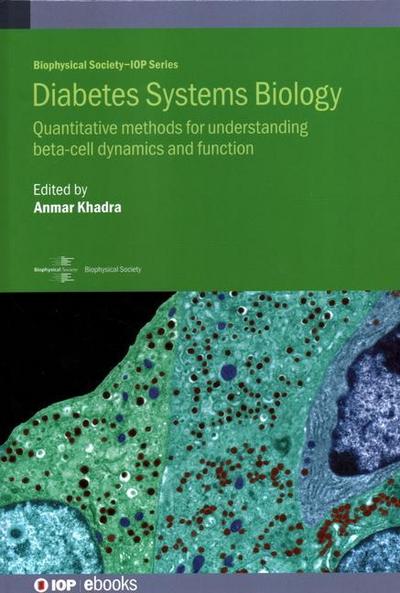 Diabetes Systems Biology