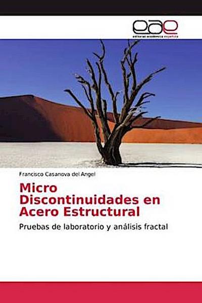 Micro Discontinuidades en Acero Estructural