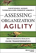 Assessing Organization Agility
