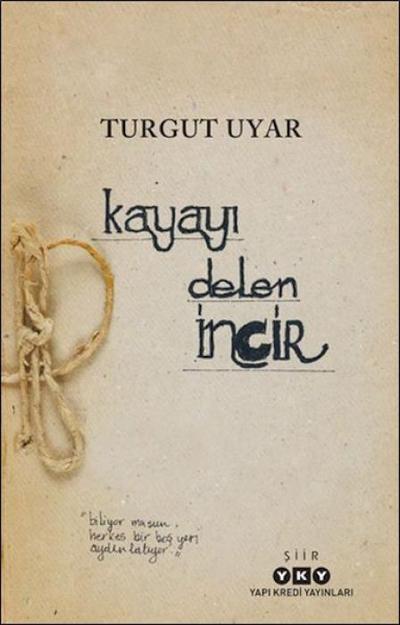Kayayi Delen Incir