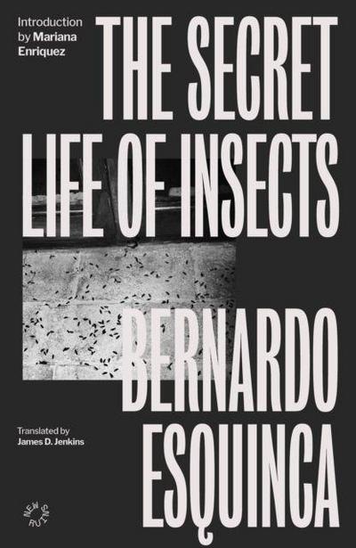 Esquinca, B: Secret Life of Insects