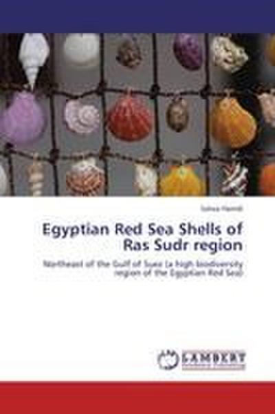 Egyptian Red Sea Shells of Ras Sudr region