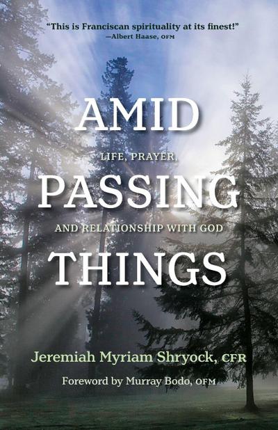 Amid Passing Things