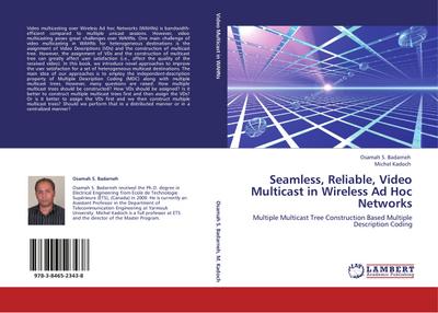 Seamless, Reliable, Video Multicast in Wireless Ad Hoc Networks