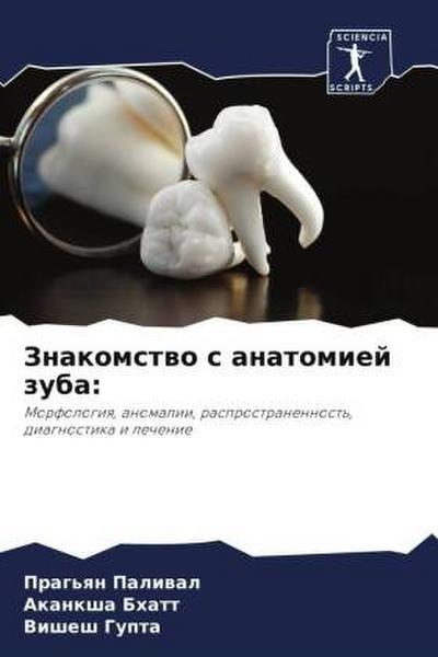 Znakomstwo s anatomiej zuba: