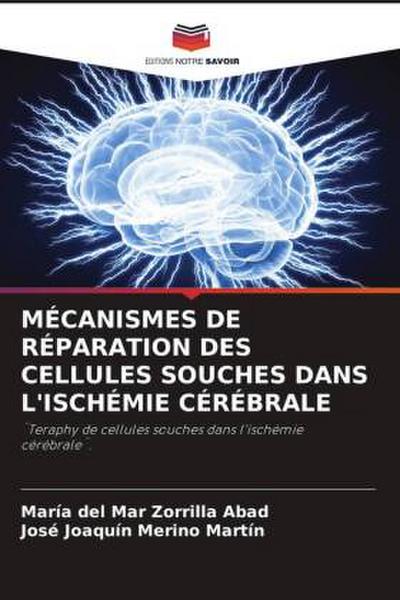 MÉCANISMES DE RÉPARATION DES CELLULES SOUCHES DANS L’ISCHÉMIE CÉRÉBRALE