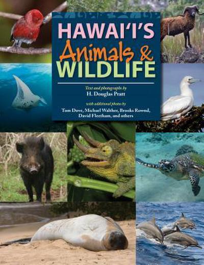 Hawaii’s Animals & Wildlife