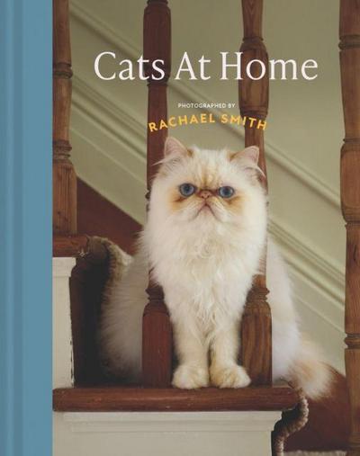 Cats at Home