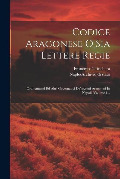Codice Aragonese O Sia Lettere Regie: Ordinamenti Ed Altri Governativi De’sovrani Aragonesi In Napoli, Volume 1...
