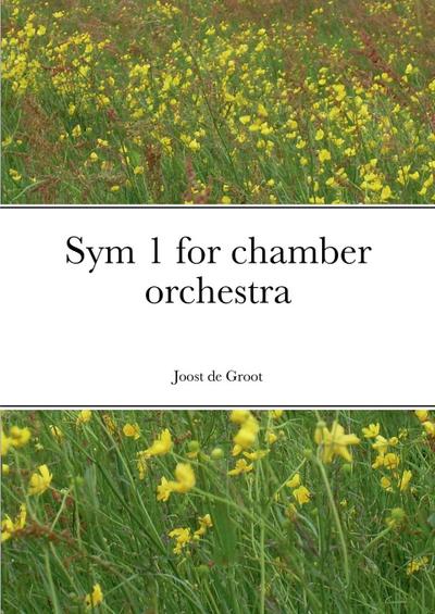 Sym 1 for chamber orchestra