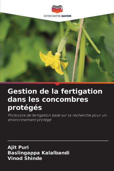 Gestion de la fertigation dans les concombres protégés