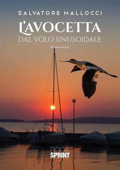 L’avocetta dal volo sinusoidale