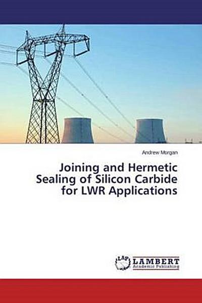 Joining and Hermetic Sealing of Silicon Carbide for LWR Applications