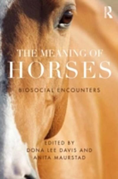 Meaning of Horses