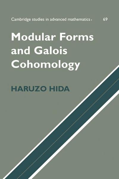 Modular Forms and Galois Cohomology