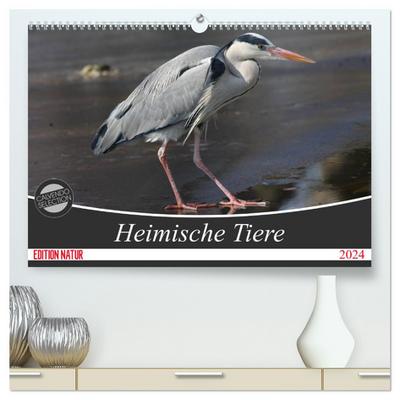 Heimische Tiere (hochwertiger Premium Wandkalender 2024 DIN A2 quer), Kunstdruck in Hochglanz
