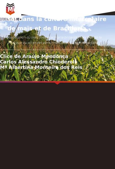 Mécanisation et physique du sol dans la culture intercalaire de maïs et de Brachiaria