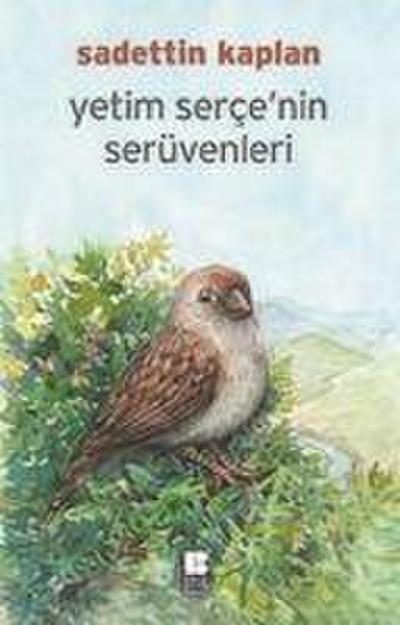 Yetim Sercenin Serüveni