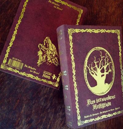 Im Schatten der Hexen 6 - Das versunkene Heiligtum