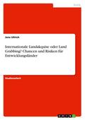 Internationale Landakquise oder Land Grabbing? Chancen und Risiken für Entwicklungsländer