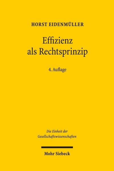 Effizienz als Rechtsprinzip