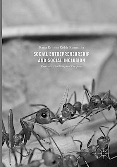 Social Entrepreneurship and Social Inclusion