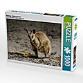 Wallaby - Südaustralien (Puzzle)