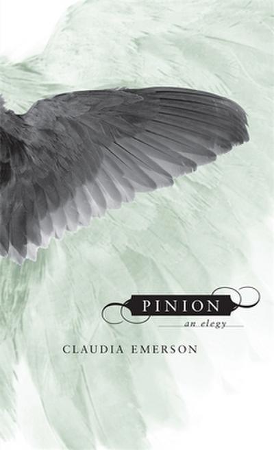 Pinion