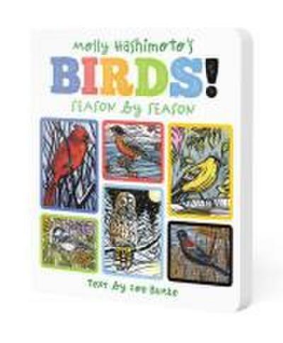Molly Hashimoto’s Birds!: Season by Season