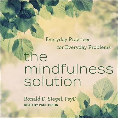 The Mindfulness Solution Lib/E: Everyday Practices for Everyday Problems