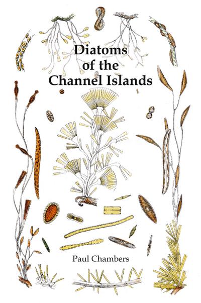 Diatoms of the Channel Islands