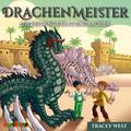 Drachenmeister 17: Die Festung des Steindrachen
