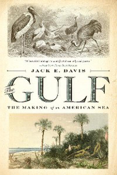 The Gulf (eBook, EPUB) - Jack E. Davis
