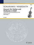 Konzert für Violine und Orchester d-Moll: von Robe