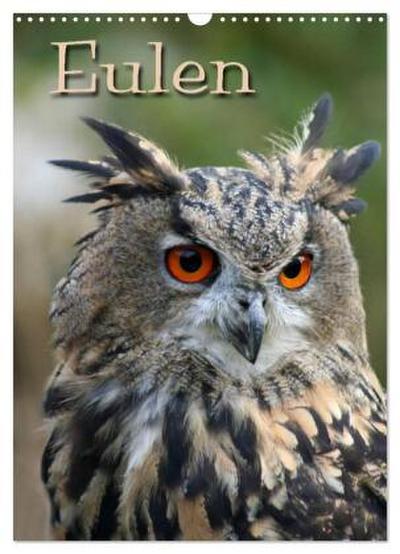 Eulen (Wandkalender 2026 DIN A3 hoch), CALVENDO Monatskalender