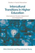 Intercultural Transitions in Higher Education