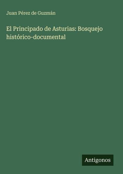 El Principado de Asturias: Bosquejo histórico-documental