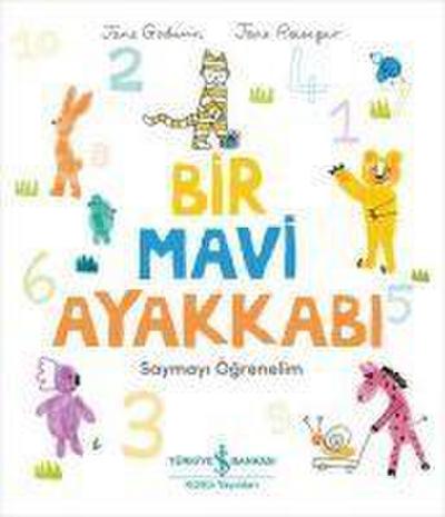 Bir Mavi Ayakkabi