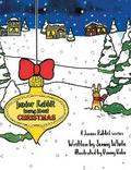 Junior Rabbit Learns About Christmas