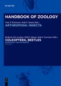 Morphology and Systematics (Elateroidea, Bostrichi