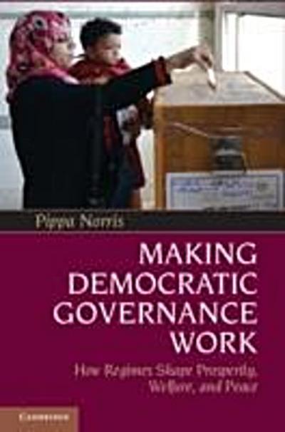 Making Democratic Governance Work