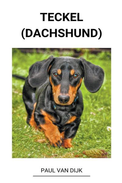 Dijk, P: Teckel (dachshund)