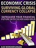 Economic Crisis: Surviving Global Currency Collapse - Safeguard Your Financial Future with Silver and Gold