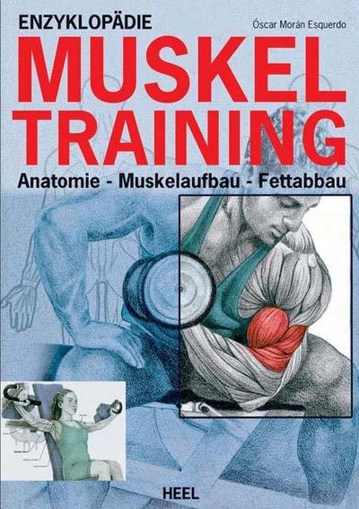 Enzyklopädie des Muskel-Trainings