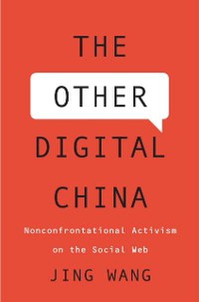 Other Digital China