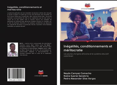 Inégalités, conditionnements et méritocratie