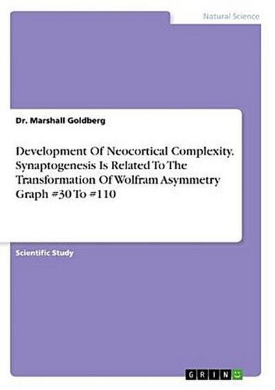 Development Of Neocortical Complexity. Synaptogenesis Is Related To The Transformation Of Wolfram Asymmetry Graph #30 To #110