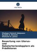 Bewertung von Uterus- und Nabelarteriendopplern als Prädiktoren